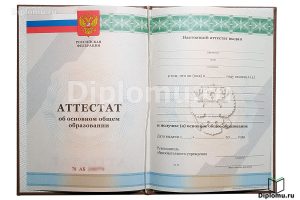 Аттестат за 9 класс 2010-2013 года