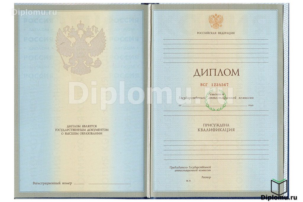 Диплом о высшем образовании 2004-2009 года