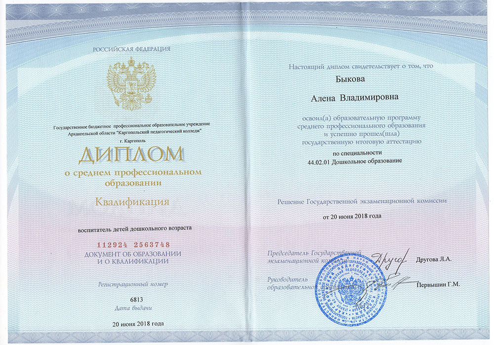 Диплом о высшем образовании 2012-2013 года