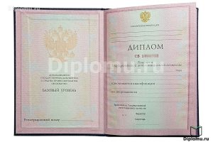 Диплом техникума / колледжа 1997-2003 года