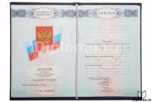 Диплом техникума / колледжа 2007-2010 года